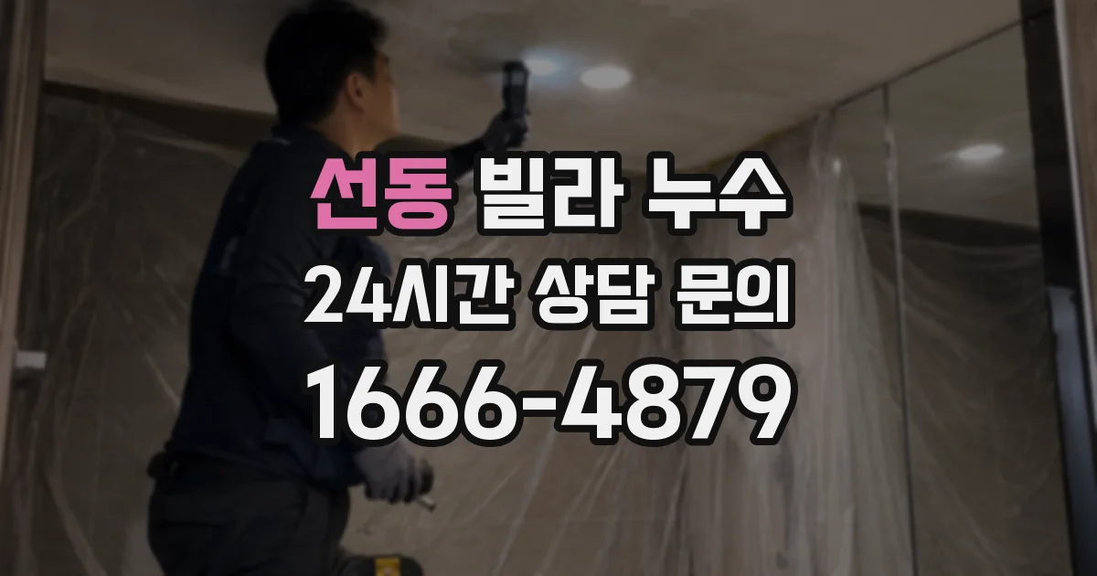 선동 빌라 누수