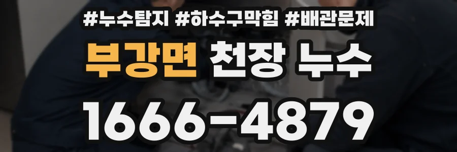 부강면 천장 누수