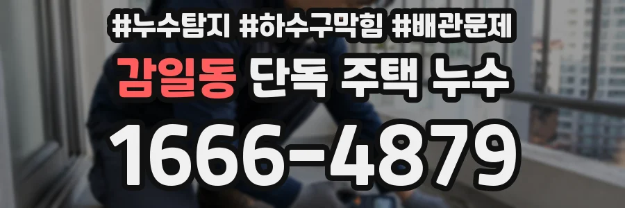감일동 단독 주택 누수