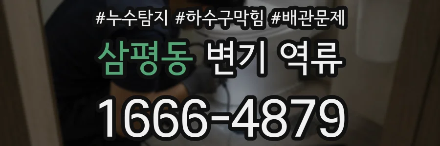 삼평동 변기 역류