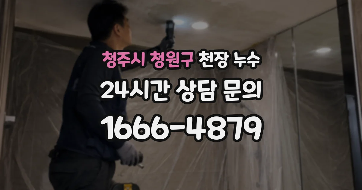 청주시 청원구 천장 누수