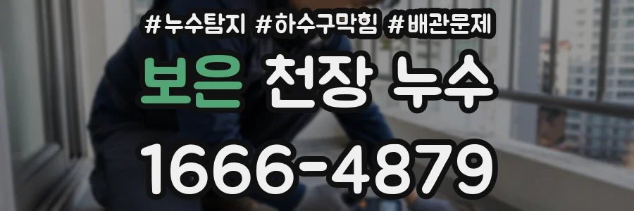 보은 천장 누수