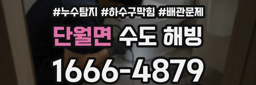 단월면 수도 해빙