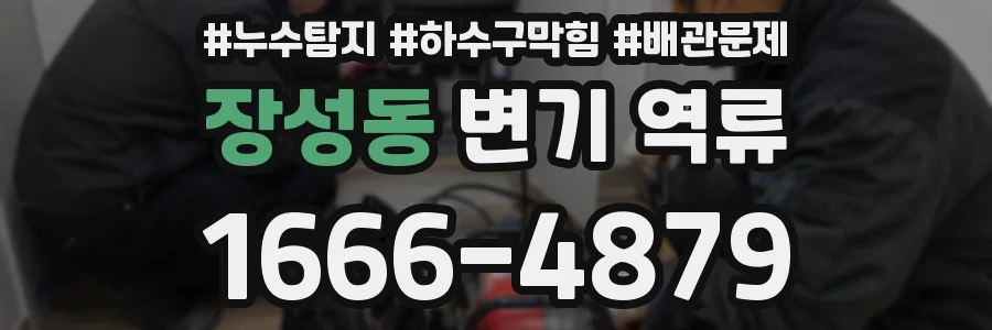 장성동 변기 역류
