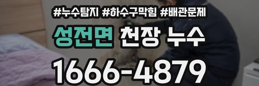 성전면 천장 누수
