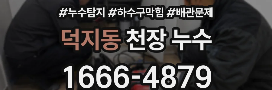 덕지동 천장 누수