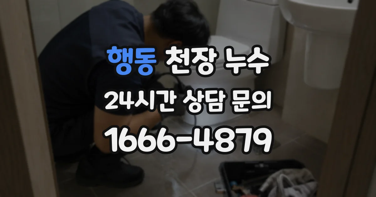 행동 천장 누수