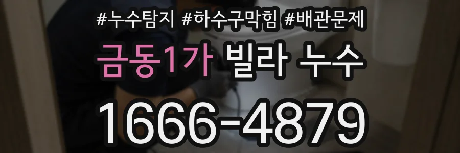 금동1가 빌라 누수
