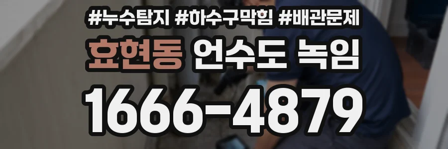 효현동 언수도 녹임