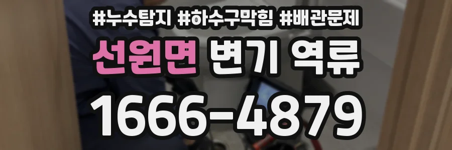 선원면 변기 역류