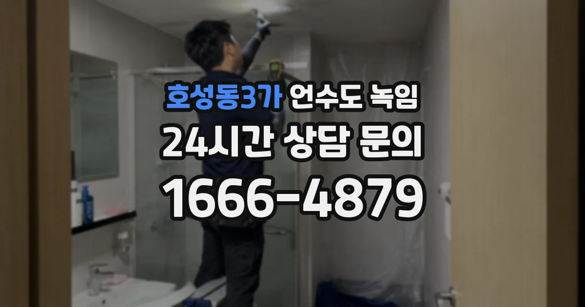 호성동3가 언수도 녹임