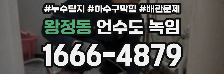 왕정동 언수도 녹임