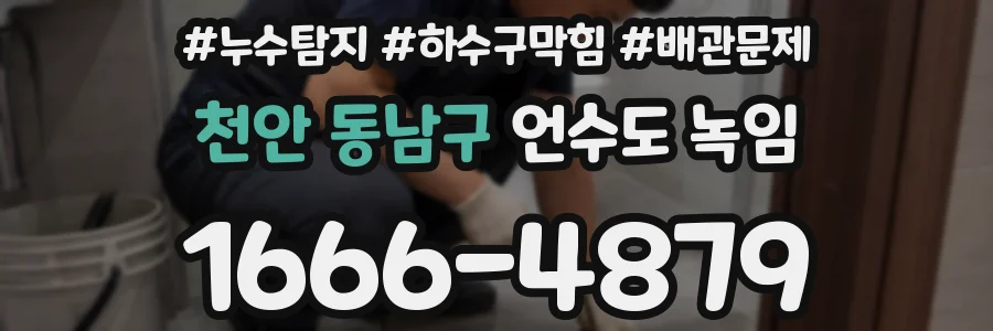 천안 동남구 언수도 녹임