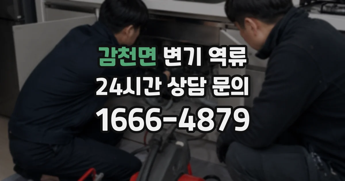 감천면 변기 역류