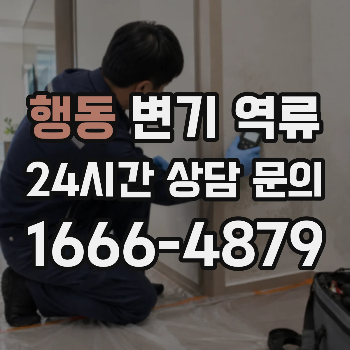 행동 변기 역류