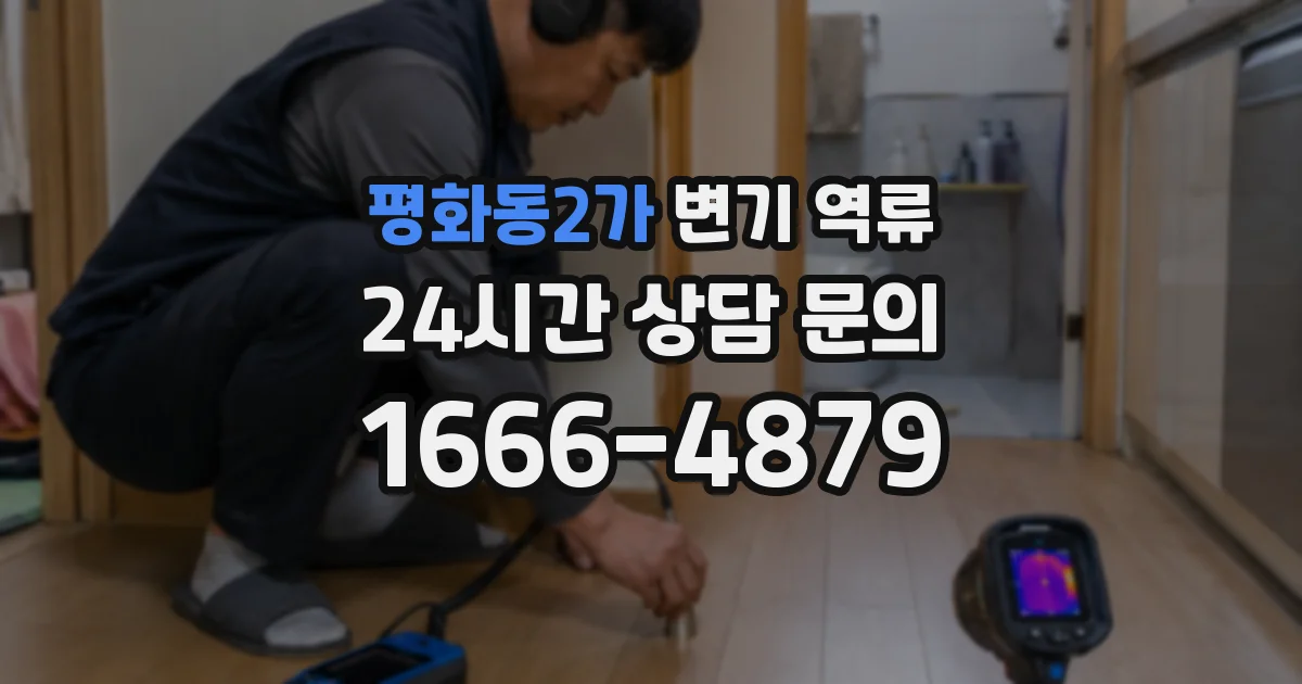 평화동2가 변기 역류