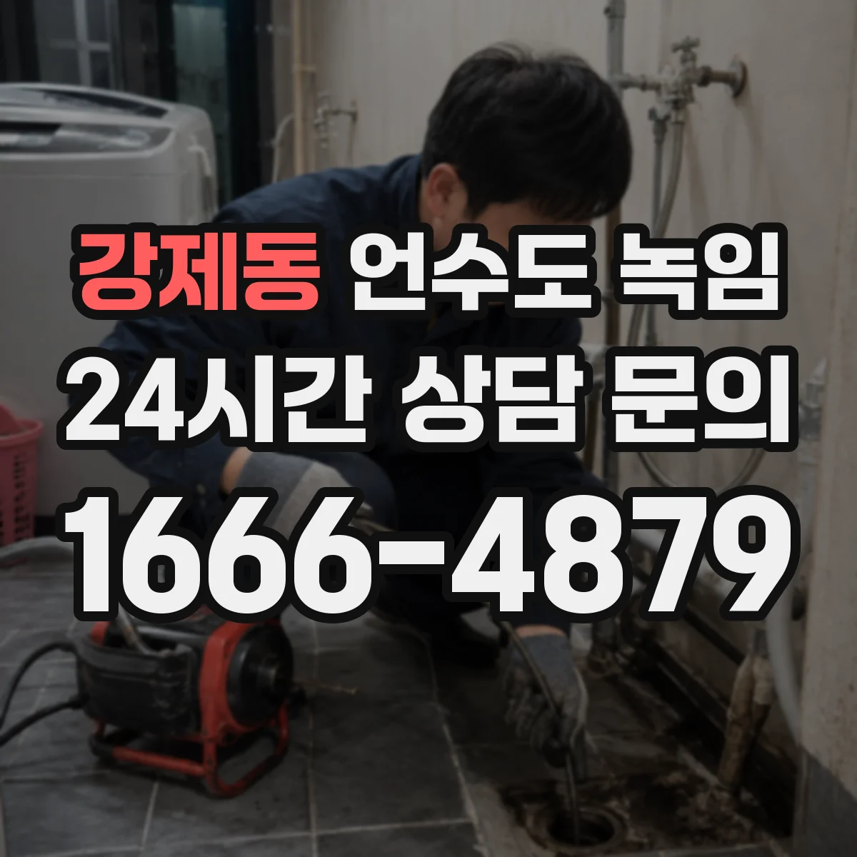 강제동 언수도 녹임