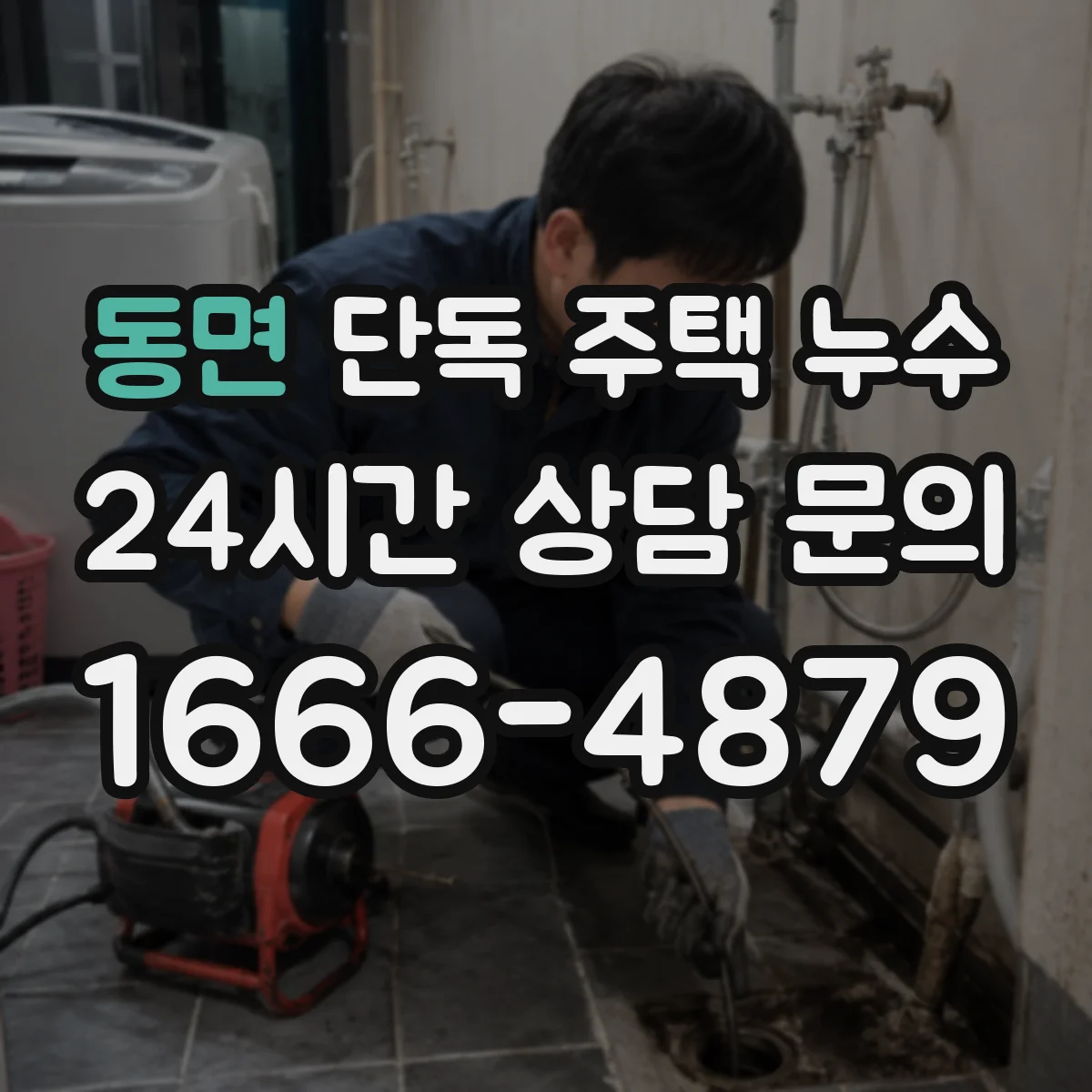 동면 단독 주택 누수