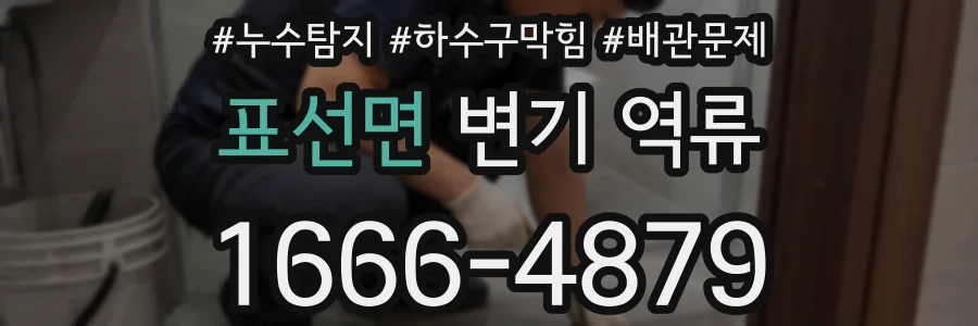 표선면 변기 역류