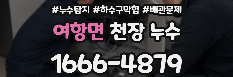여항면 천장 누수