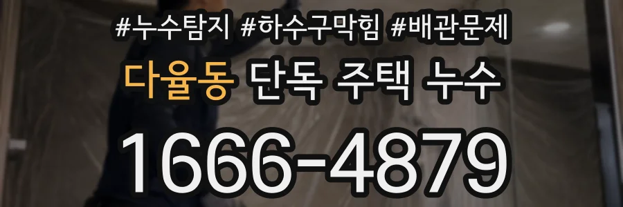 다율동 단독 주택 누수