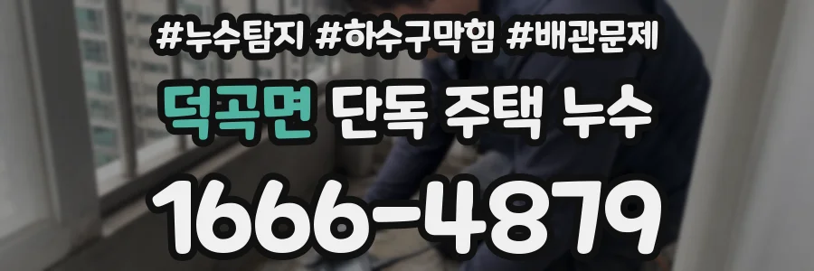 덕곡면 단독 주택 누수