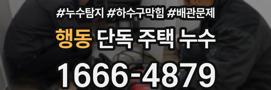 행동 단독 주택 누수