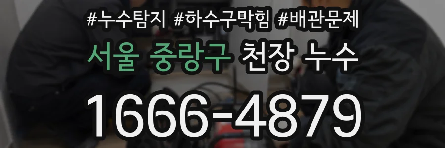 서울 중랑구 천장 누수