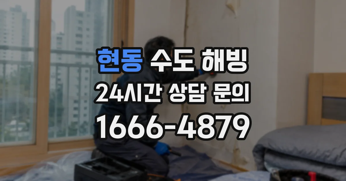 현동 수도 해빙