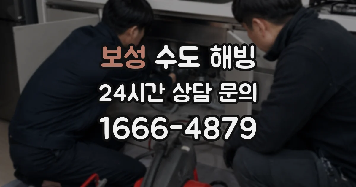 보성 수도 해빙
