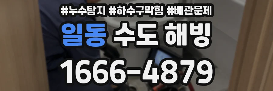 일동 수도 해빙