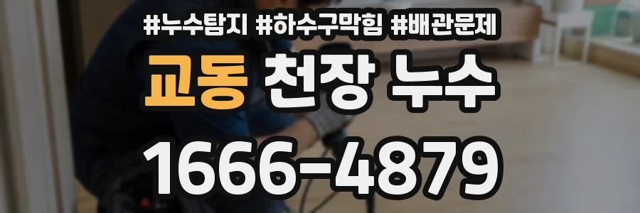 교동 천장 누수