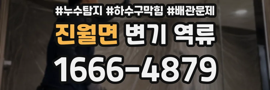 진월면 변기 역류