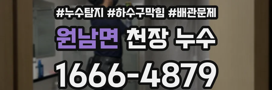 원남면 천장 누수