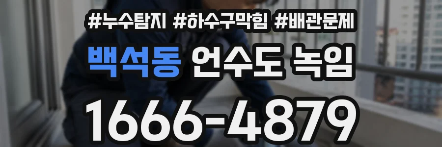 백석동 언수도 녹임