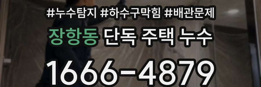 장항동 단독 주택 누수