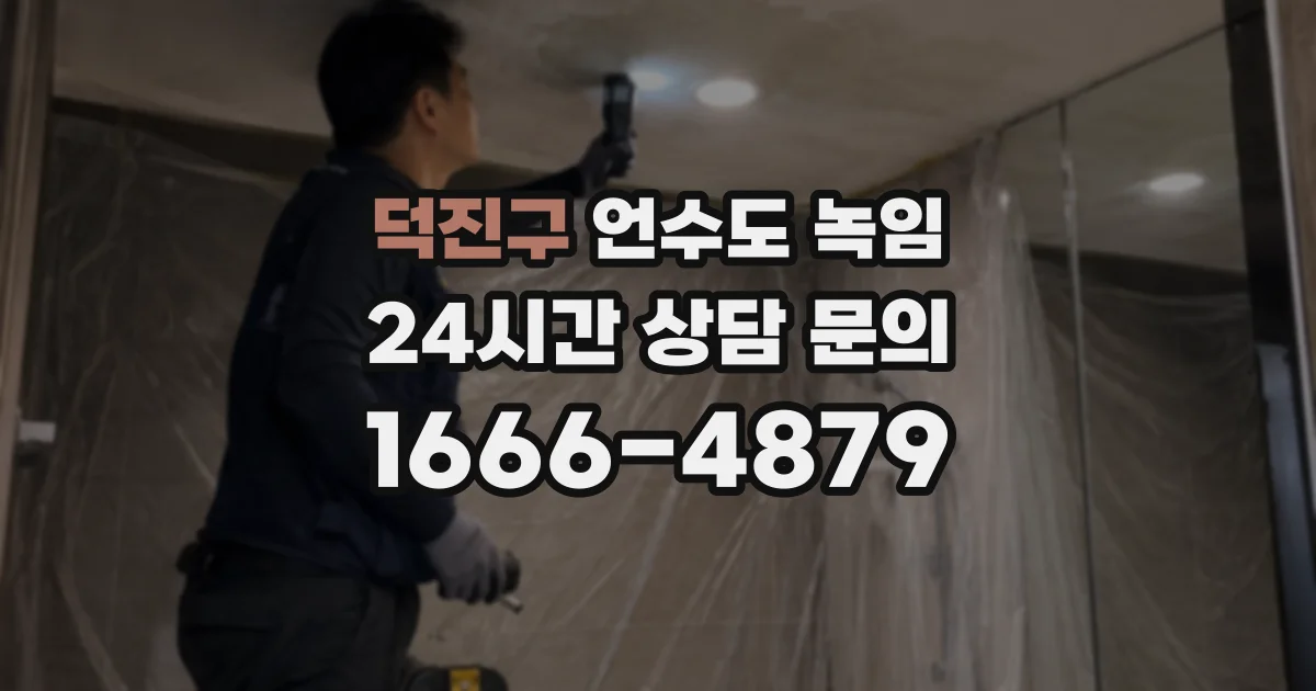 덕진구 언수도 녹임