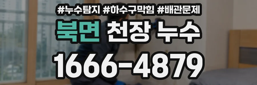 북면 천장 누수