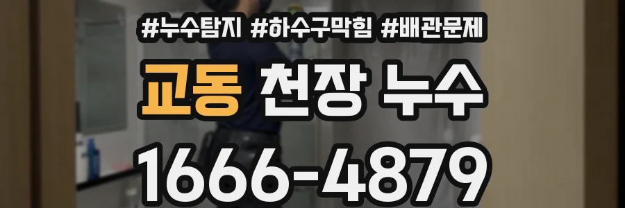 교동 천장 누수