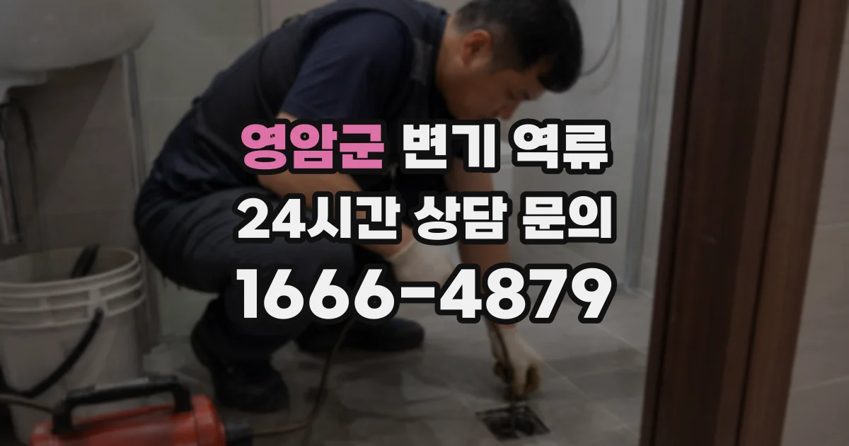 영암군 변기 역류