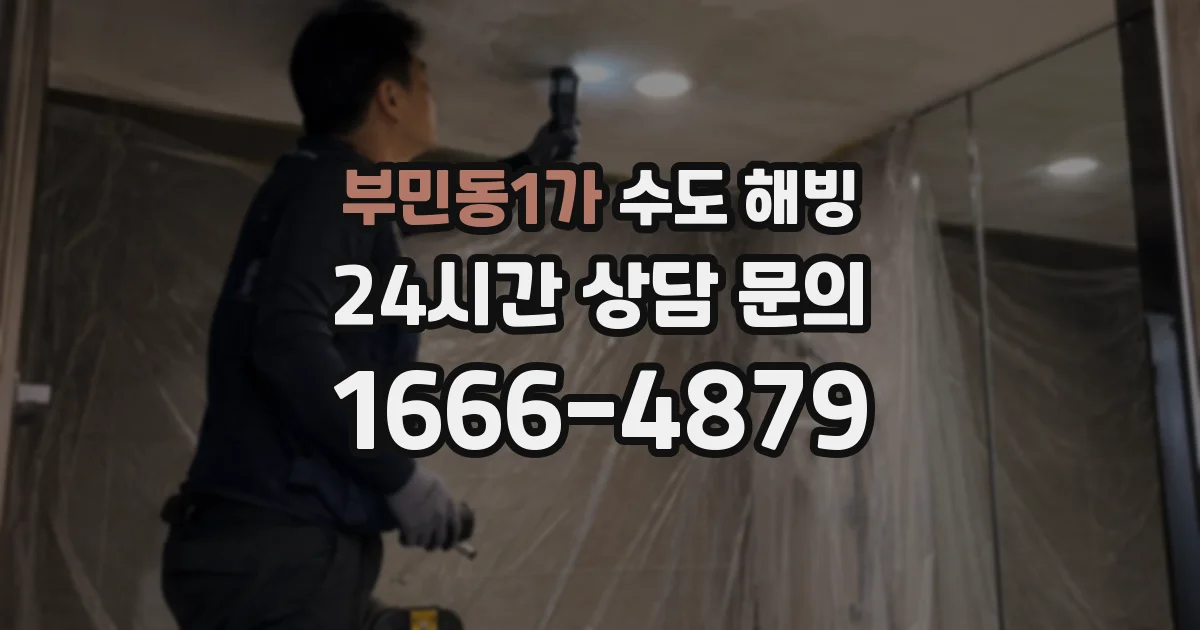 부민동1가 수도 해빙