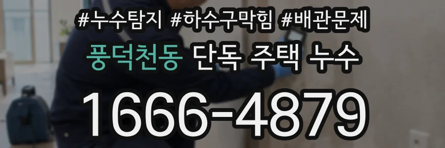 풍덕천동 단독 주택 누수