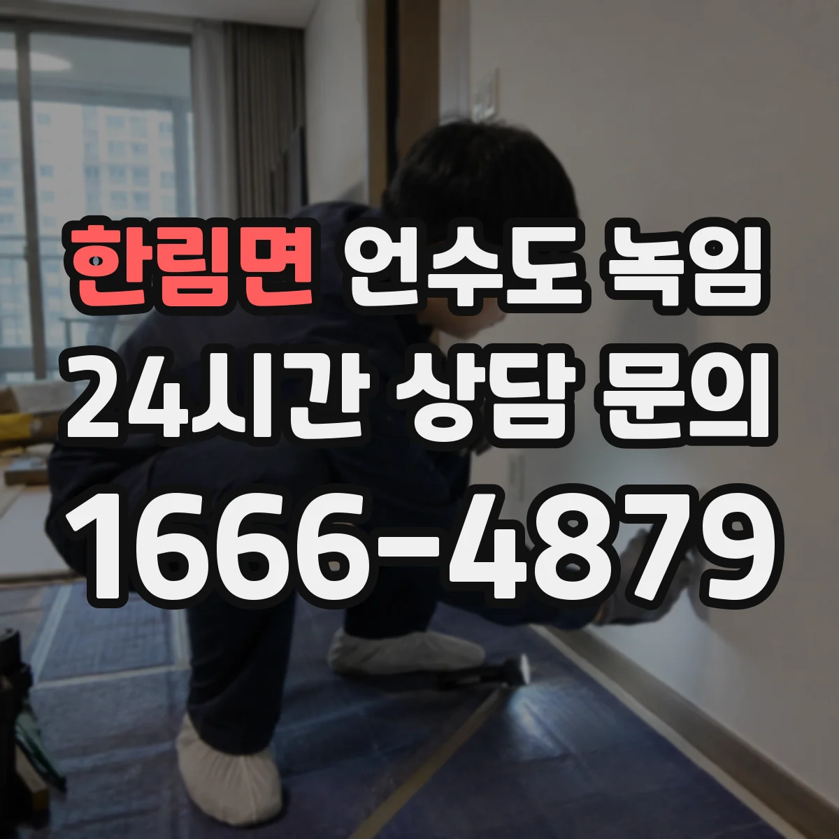 한림면 언수도 녹임