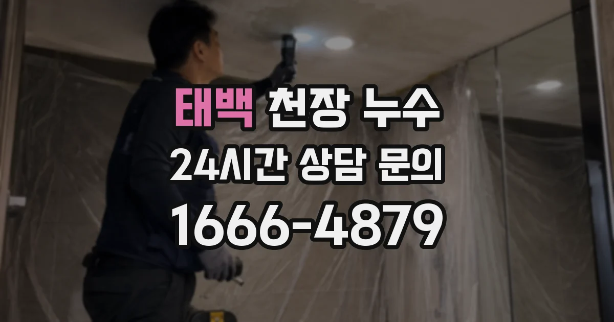태백 천장 누수