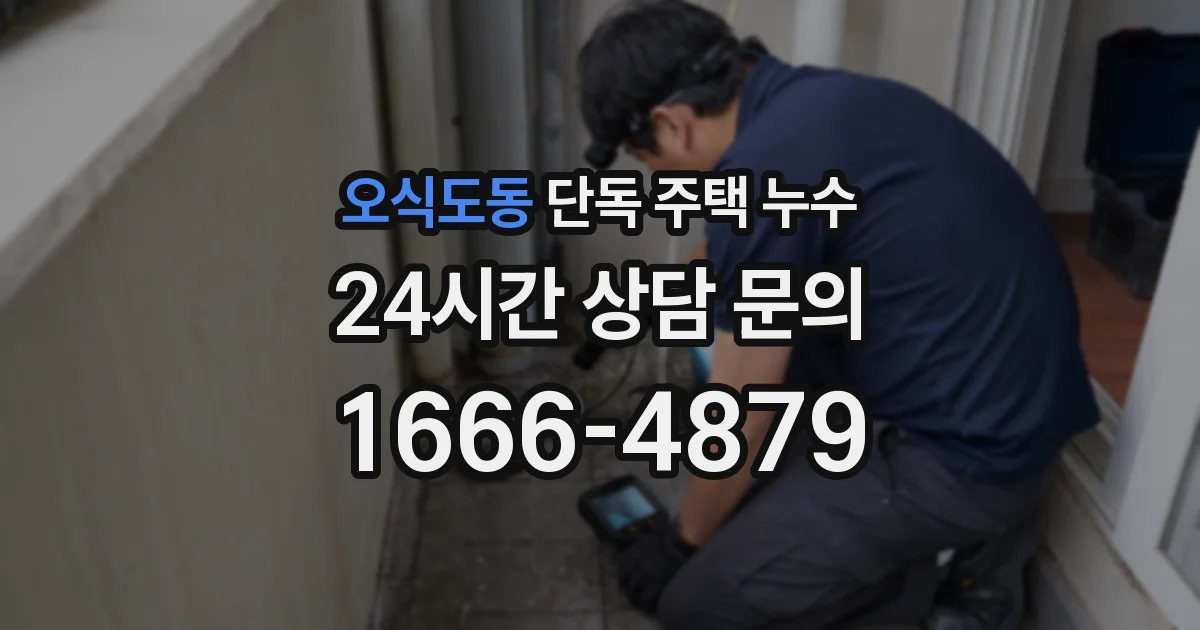오식도동 단독 주택 누수
