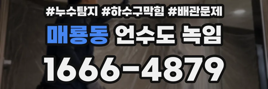 매룡동 언수도 녹임