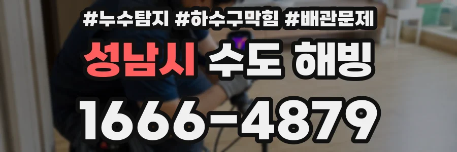 성남시 수도 해빙