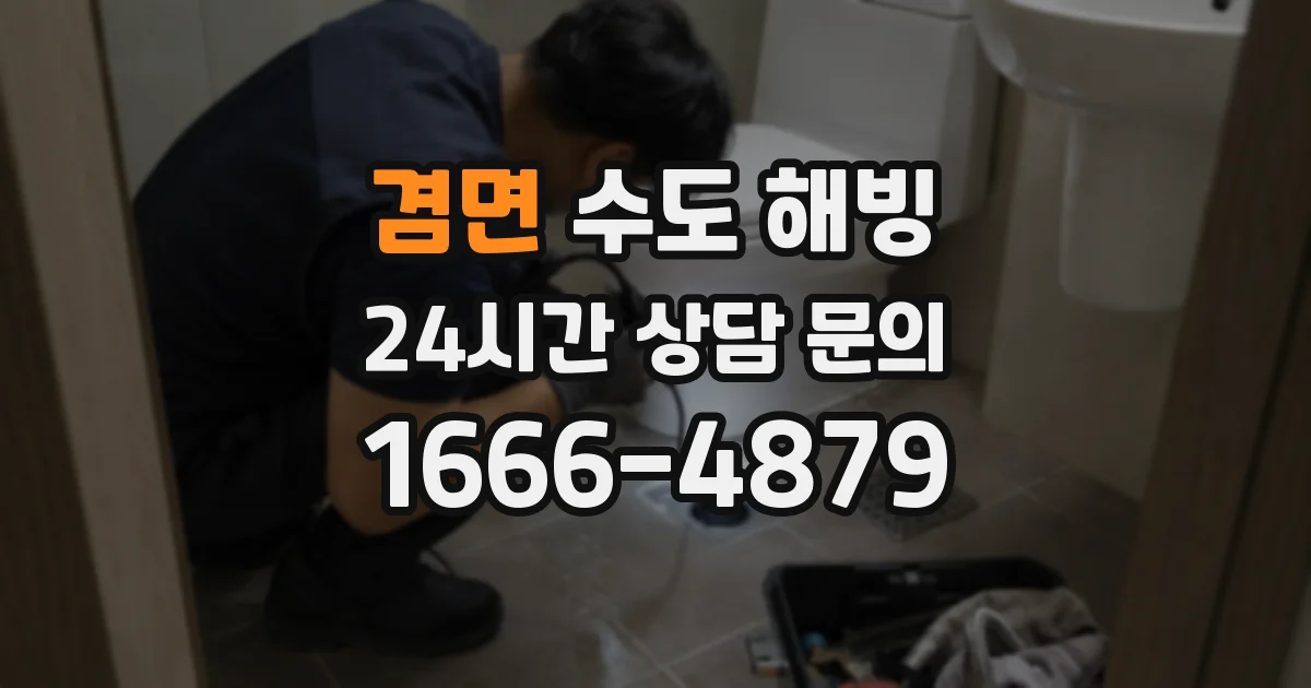 겸면 수도 해빙
