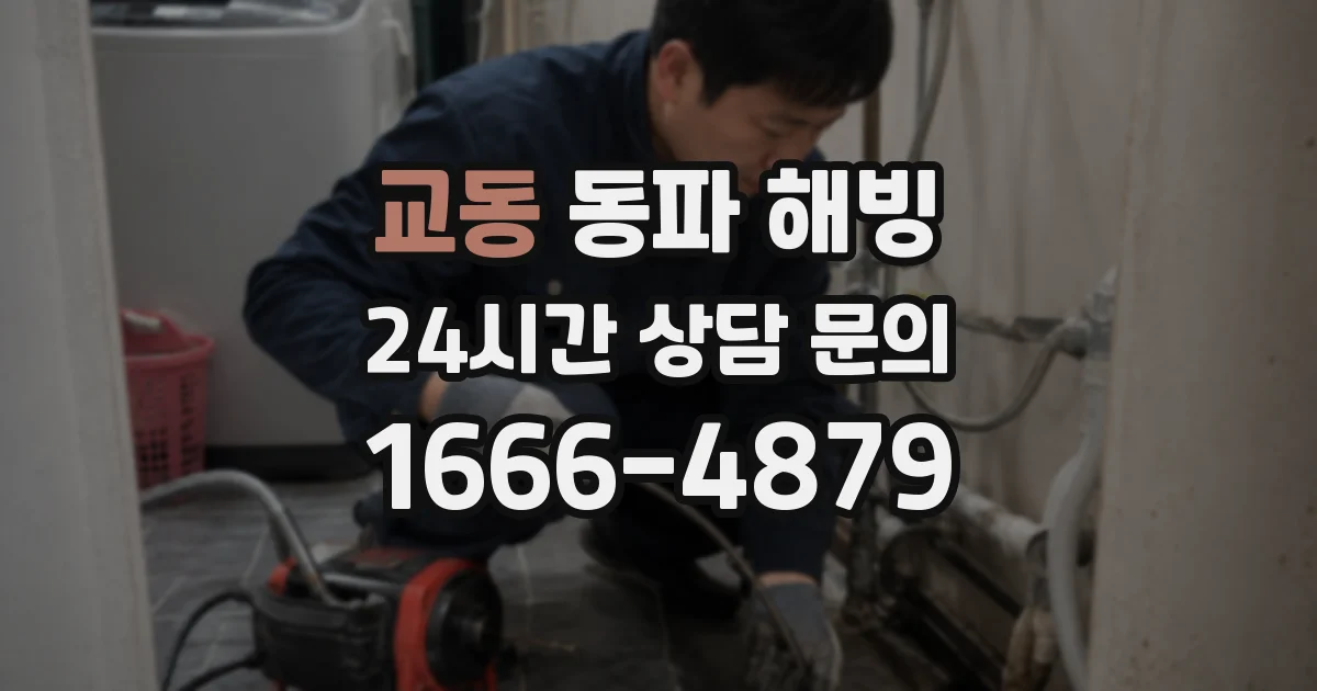교동 동파 해빙