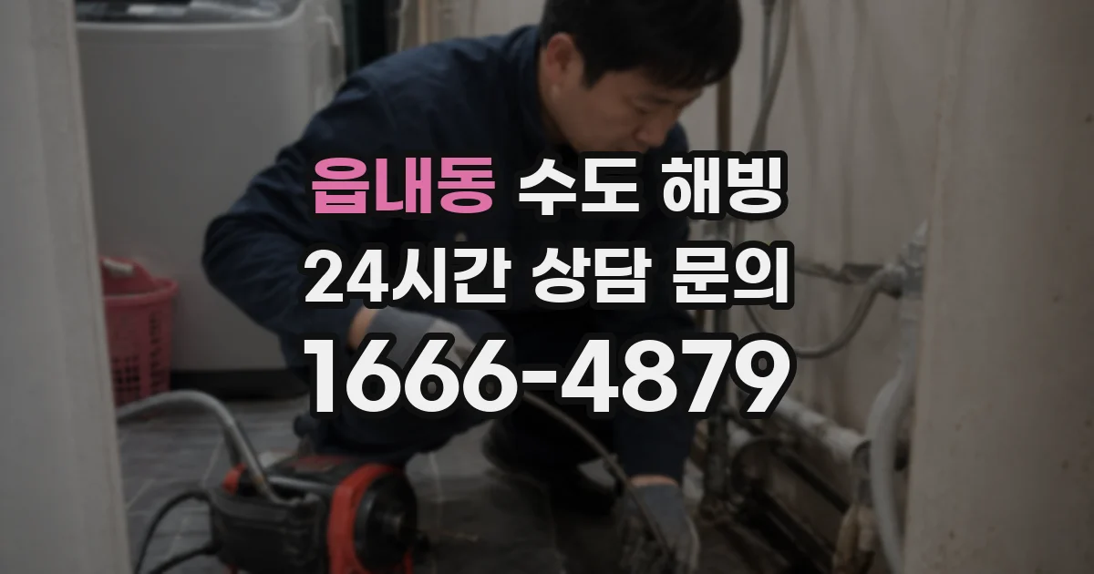 읍내동 수도 해빙